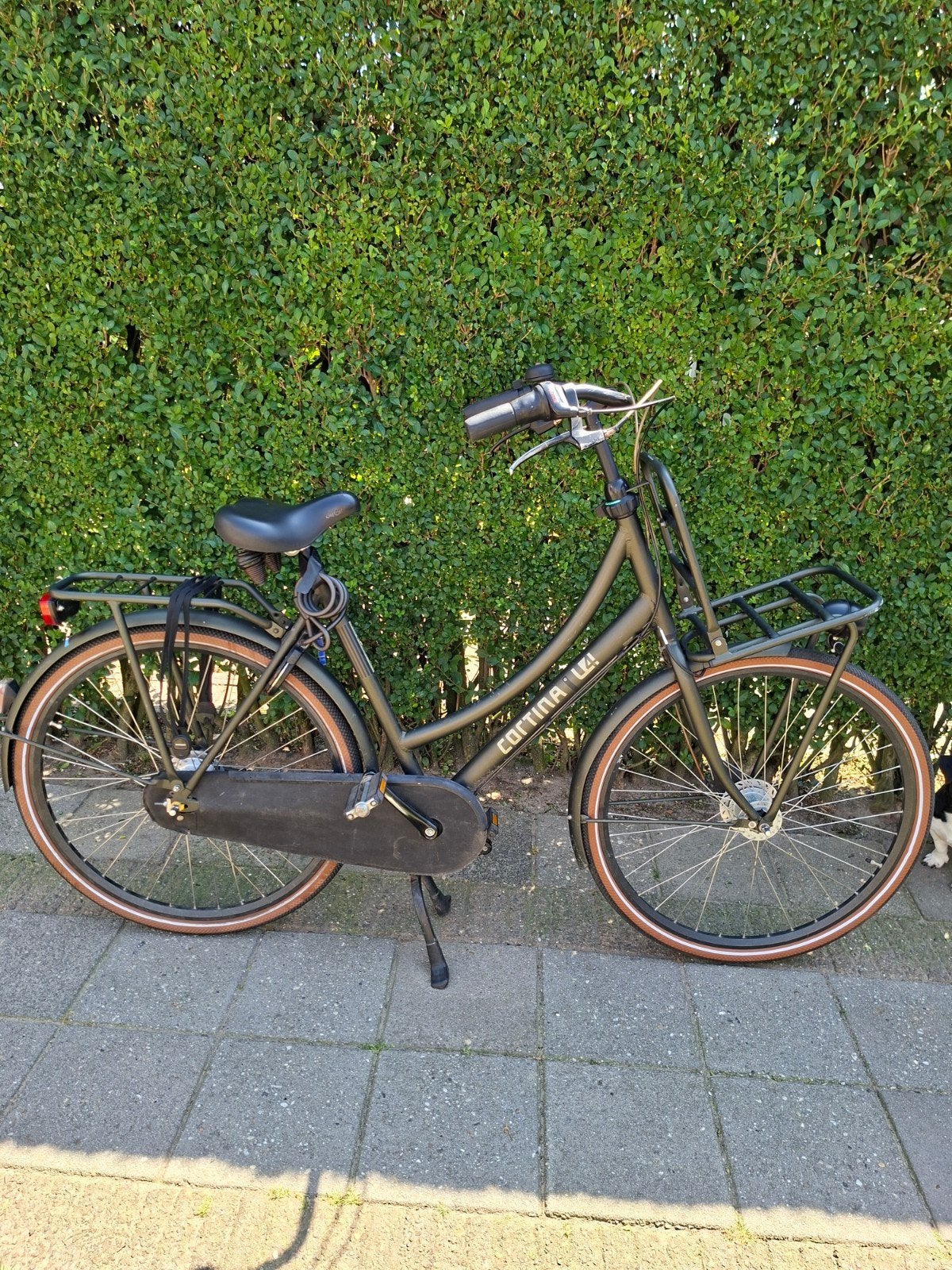 Cortina U4 Transportfiets Dames - Gebruikt, Fietsen en Brommers, Fietsen | Dames | Damesfietsen, Gebruikt, Versnellingen, 50 tot 53 cm