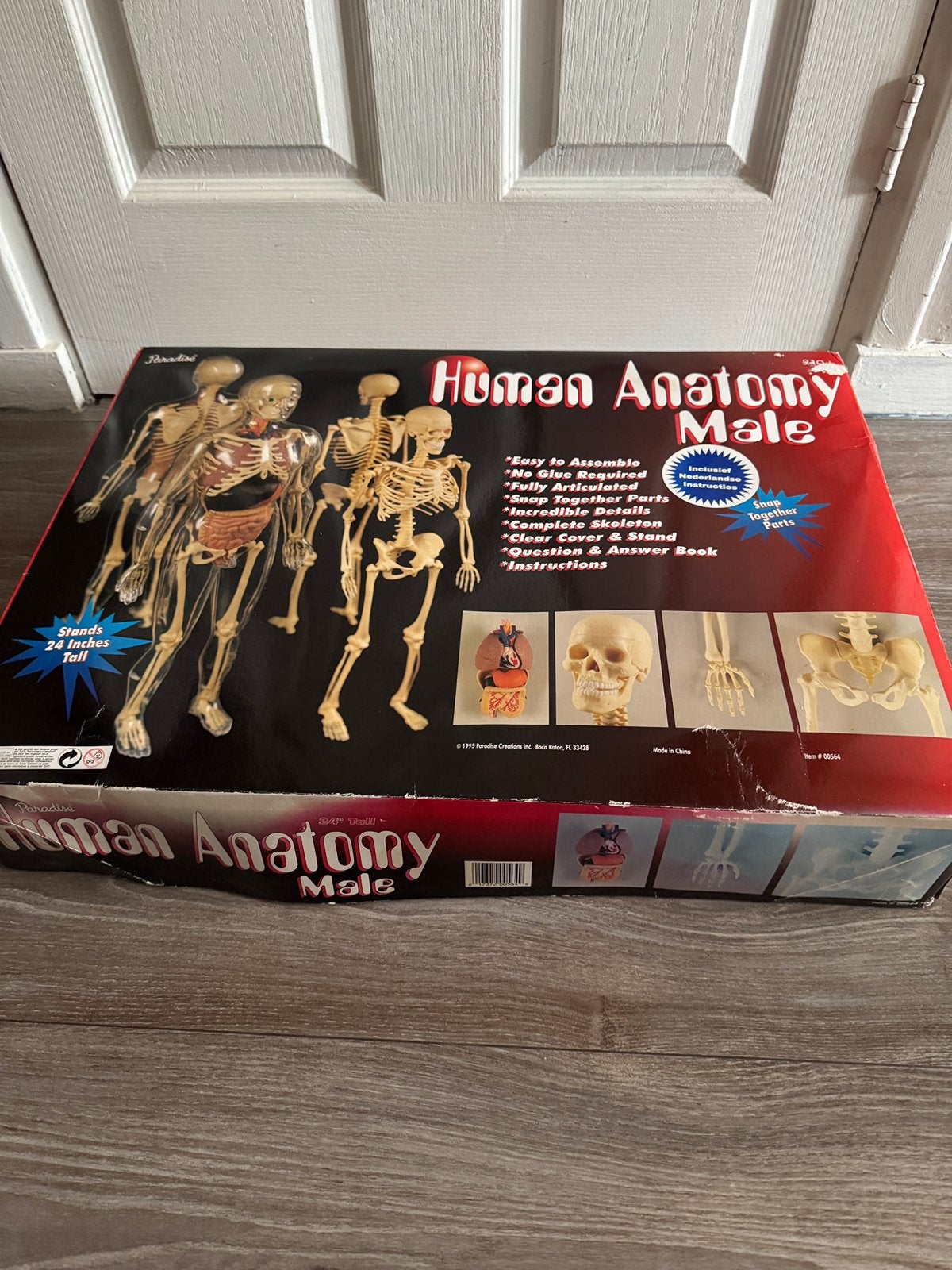 Anatomy pop, Ophalen of Verzenden, Apparaat