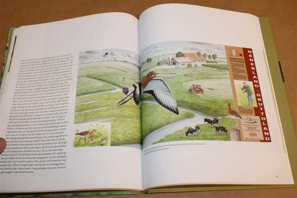 Grondrecht voor de grutto — Natuur & Landschap, Ophalen of Verzenden, Zo goed als nieuw, Overige diersoorten