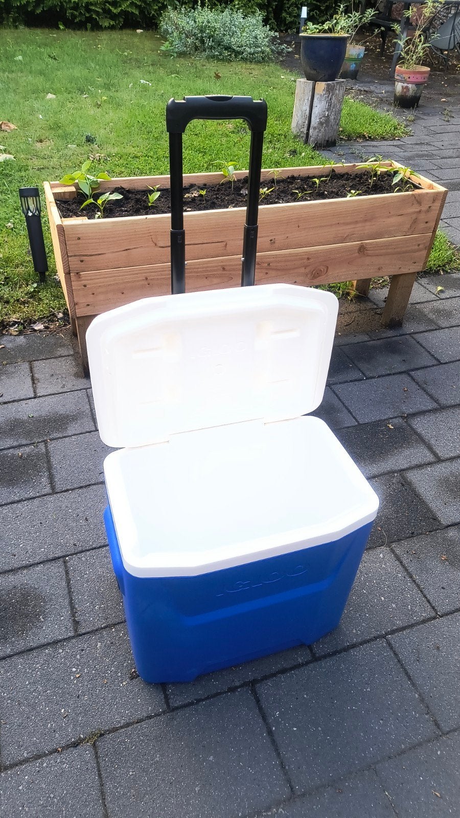 IGLOO Koelbox  verrijdbaar, Ophalen of Verzenden, Koelelement