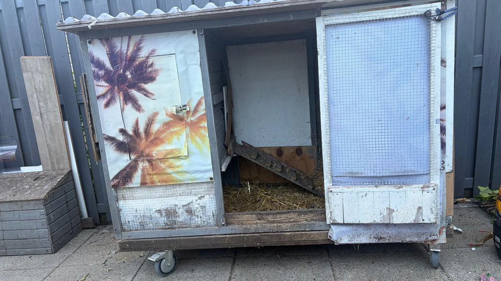 Kippenhok, Dieren en Toebehoren, Ophalen, Gebruikt, Hout, Overige typen
