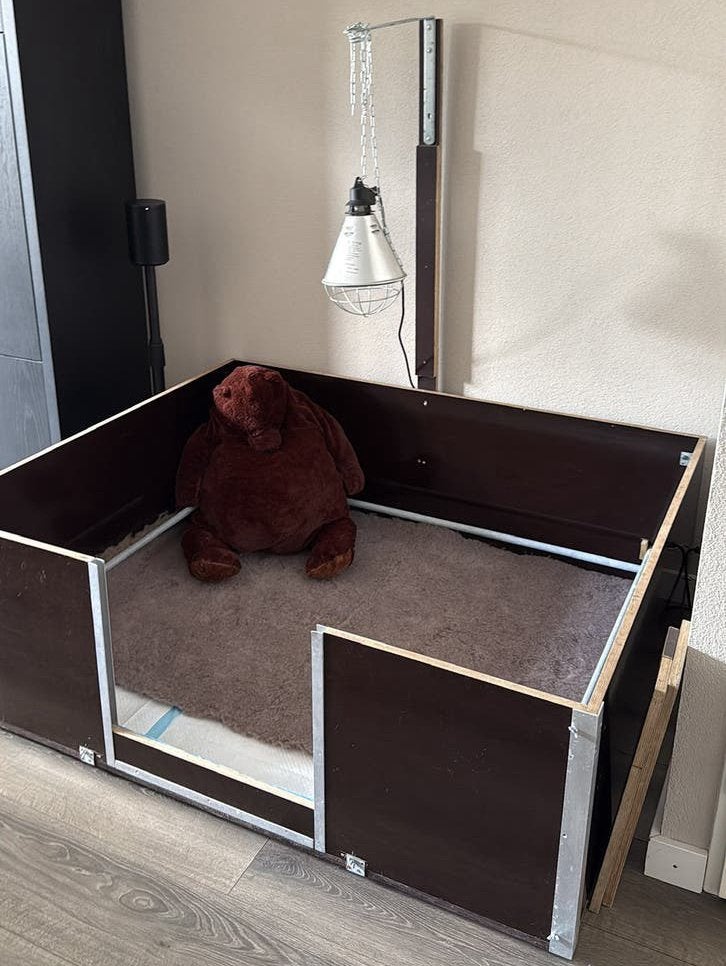 Grote werpkist + alle benodigdheden voor een nestje, Ophalen, Gebruikt, 110 cm of meer, Minder dan 65 cm