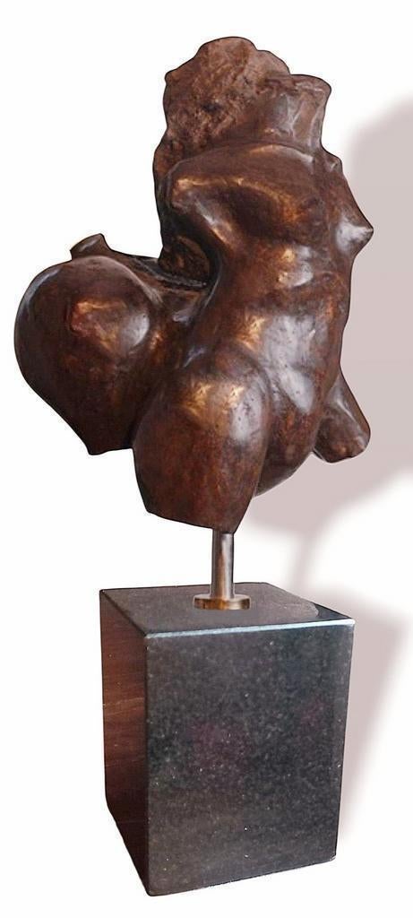 Bronzen beeld Rob Thalen Dutch Female centaur, Antiek en Kunst, Ophalen, Brons