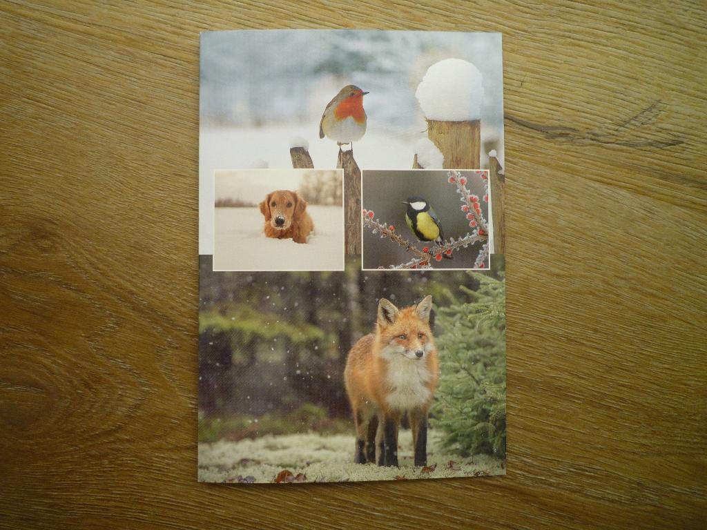 Hond vos roodborstje koolmees vogels, Ophalen of Verzenden, Voor 1920, Hond of Kat