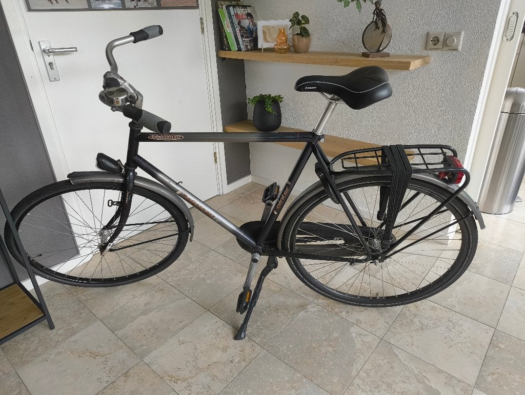 Grijze pointer stationsfiets, Ophalen, Gebruikt, Terugtraprem, Overige merken