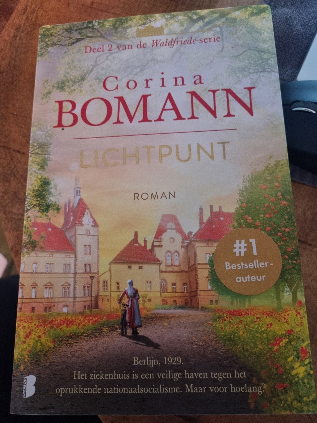 Lichtpunt - Corina Bomann (Deel 2 Waldfriede-serie), Boeken, Ophalen of Verzenden, Zo goed als nieuw, Corina Bomann, Nederland