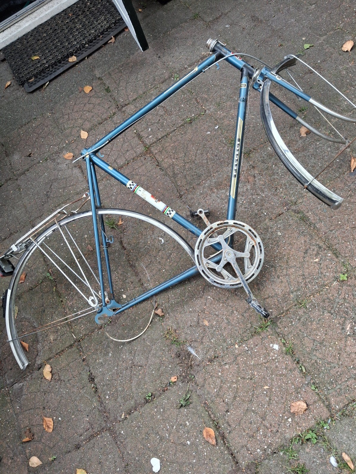 Vintage Peugeot Record Du Monde Fietsframe met Spatborden, Frame, Gebruikt, Staal, Ophalen of Verzenden