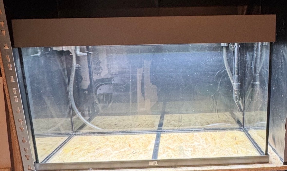 Juwel Aquarium, Ophalen, Inclusief deksel, Zo goed als nieuw, Leeg aquarium