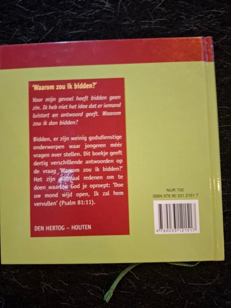L. Snoek - Waarom zou ik bidden?, Boeken, Godsdienst en Theologie, Ophalen of Verzenden, Zo goed als nieuw, L. Snoek