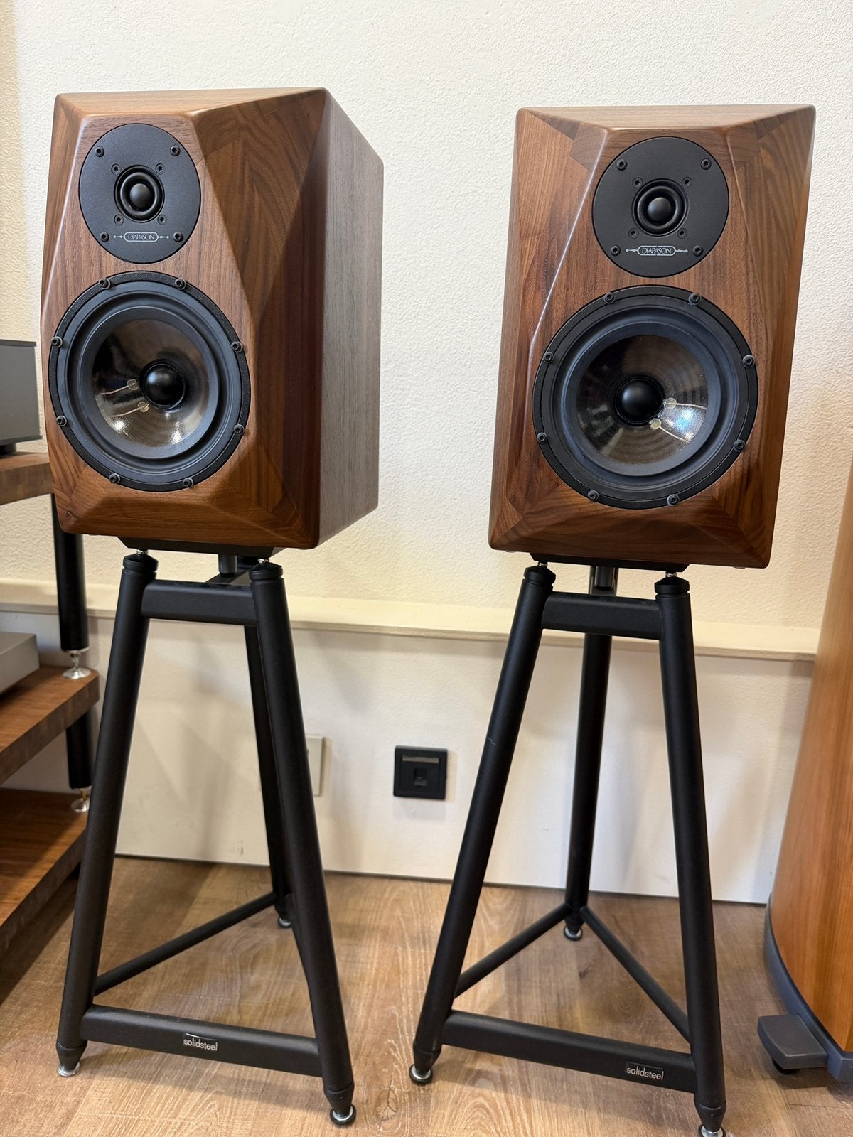Diapason Adamantes V (5), Audio, Tv en Foto, Overige merken, Info@diapason-italia.com, 120 tot 150 watt, Diapason