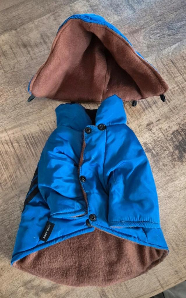 Hondenjasje maat S 24 cm met capuchon. Blauw.Amper gedragen, Ophalen of Verzenden, Zo goed als nieuw, Hondenjas