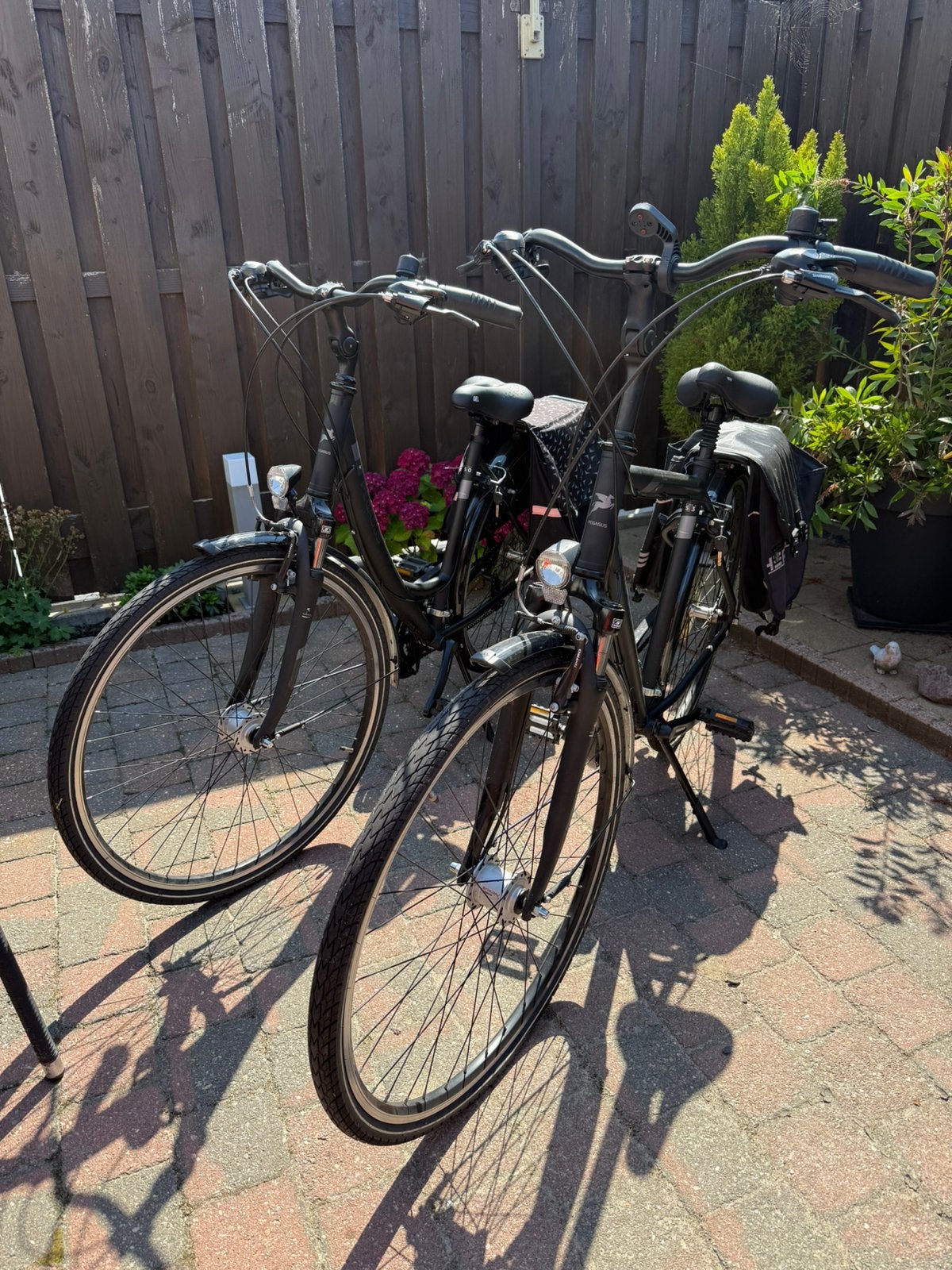 Pegasus Piazza Lite – Luxe stadsfietsen in topstaat!, Fietsen en Brommers, Minder dan 10 versnellingen, Zo goed als nieuw, 50 tot 53 cm