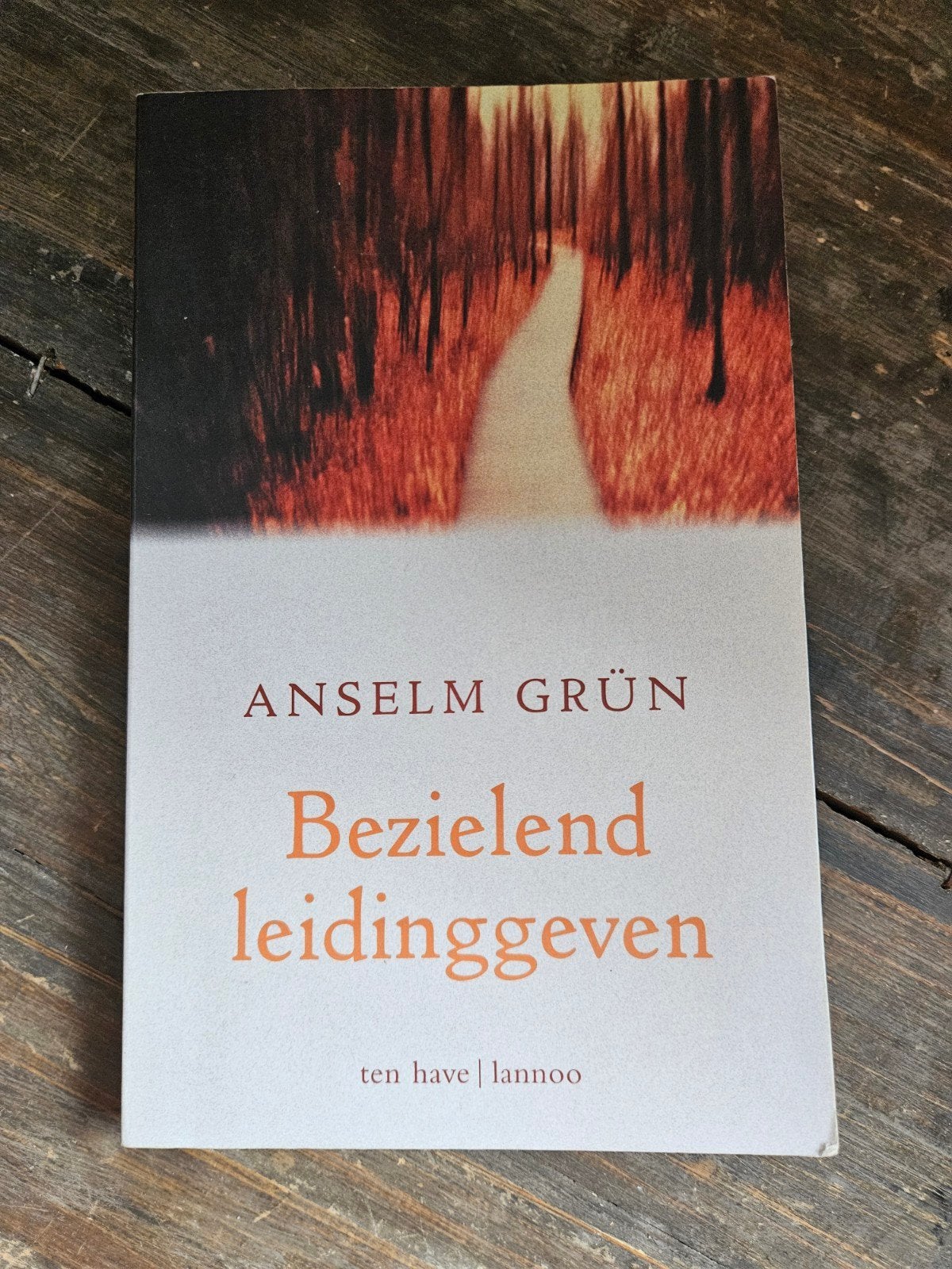 Boek Anselm Grün - Bezield Leidinggeven zo goed als niieuw), Boeken, Achtergrond en Informatie, Spiritualiteit algemeen, Nieuw