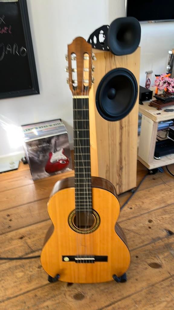 Gitaar akoestische, Muziek en Instrumenten, Snaarinstrumenten | Gitaren | Akoestisch, Ophalen, Gebruikt, Overige typen