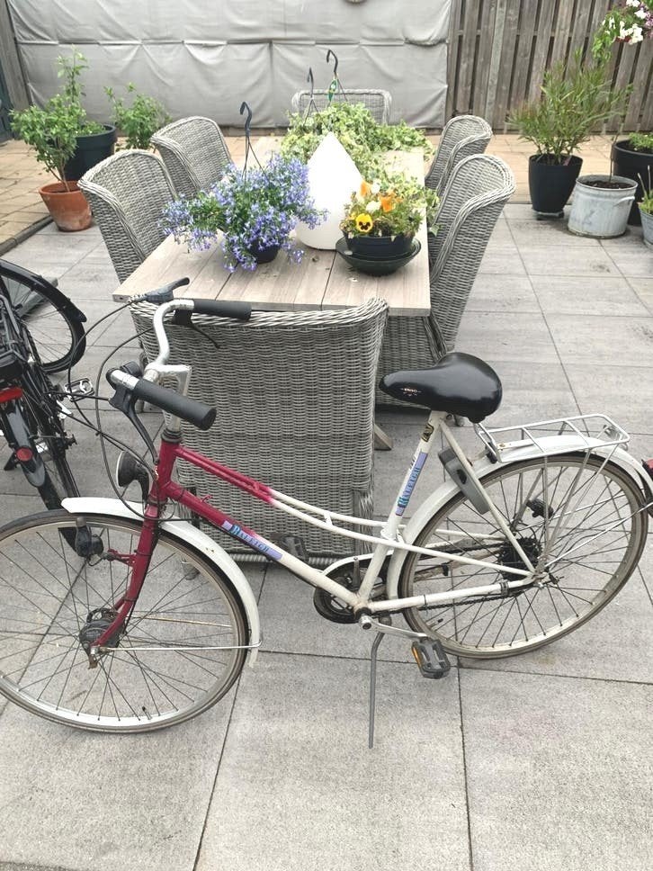 Raleigh damesfiets - prima conditie, opknapper, Fietsen en Brommers, Fietsen | Dames | Damesfietsen, Velgrem, Ophalen, Overige merken