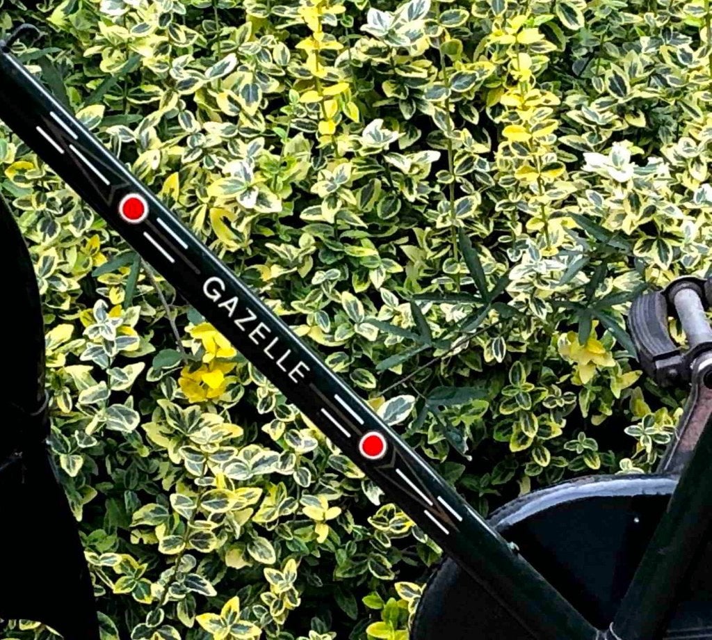 Gazelle Herenfiets (voor student), Ophalen, Zo goed als nieuw, Gazelle, Versnellingen
