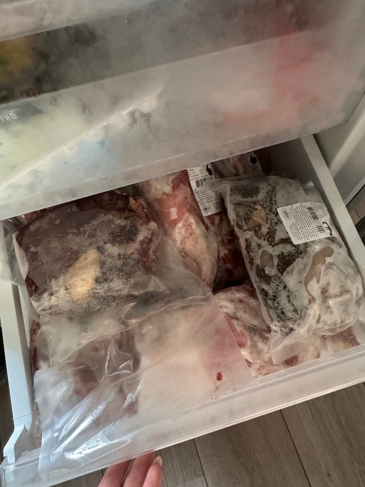Rauw hondenvlees, Dieren en Toebehoren, Dierenvoeding, Hond, Ophalen