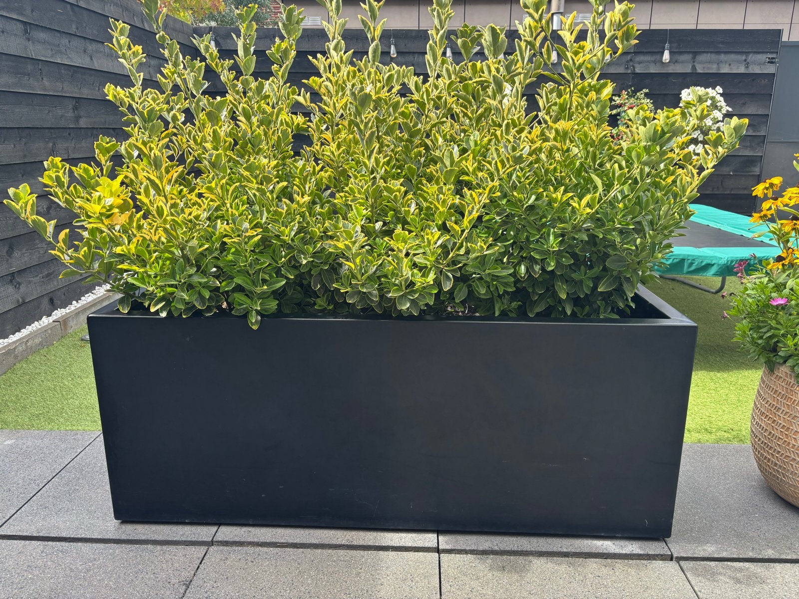 Aluminium Plantenbak Zwart 150x50x60cm, Ophalen, 100 cm of meer, Balkon, Zo goed als nieuw