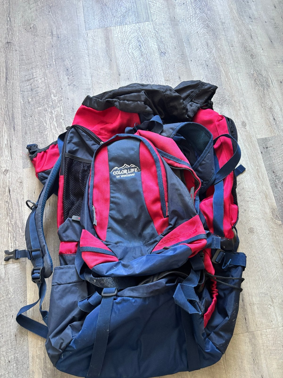 Backpack Color Life by Vanguard rood/blauw + extra tas, Gebruikt, 25 tot 40 cm, Ophalen of Verzenden, Overige merken