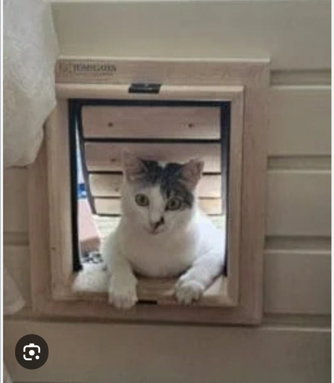 Gevraagd : kattenluik kattenluikje voor buitendeur, Ophalen