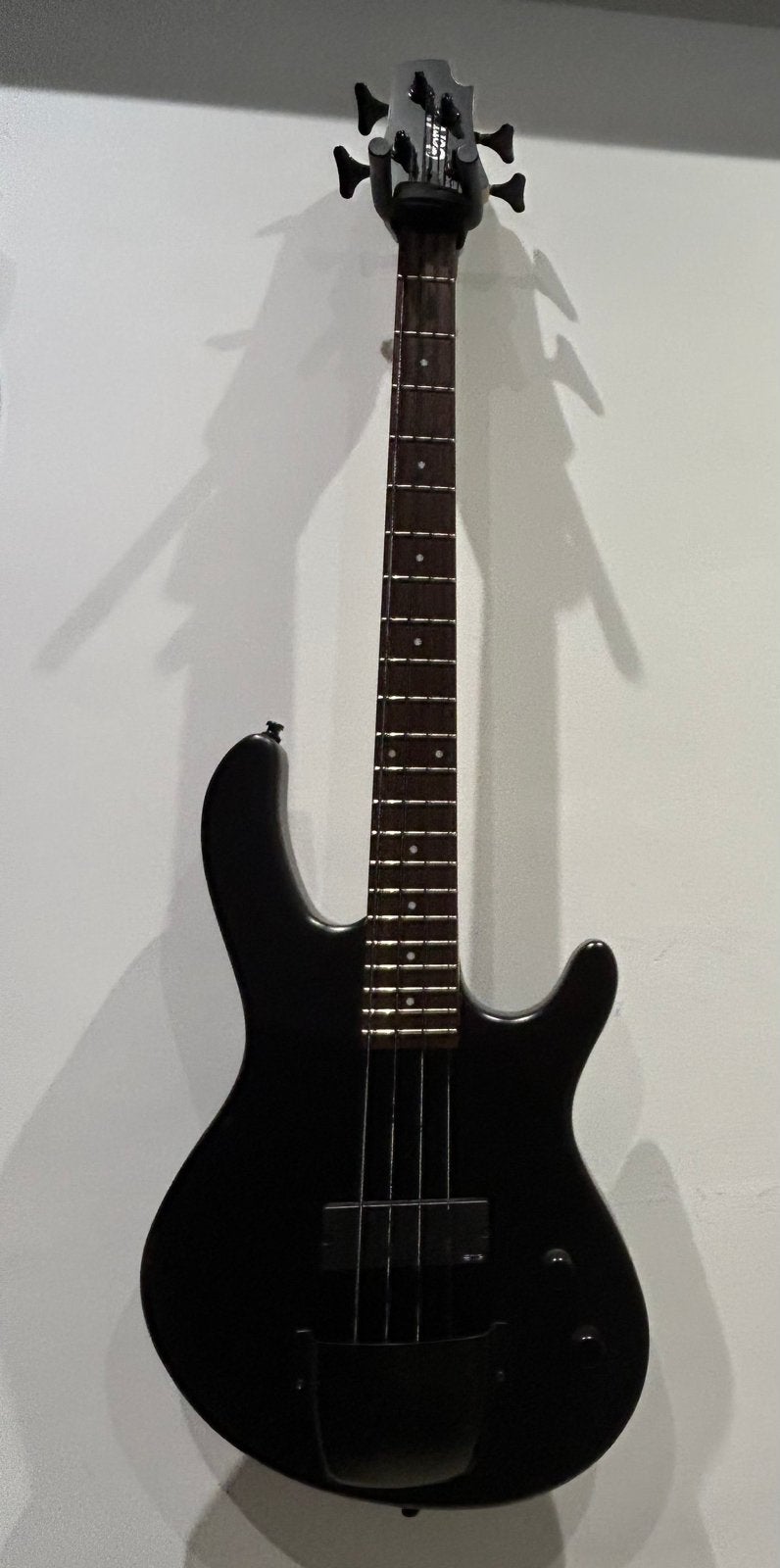 Cort Junior Shortscale Basgitaar met upgrades, Ophalen of Verzenden, Zo goed als nieuw, Elektrisch