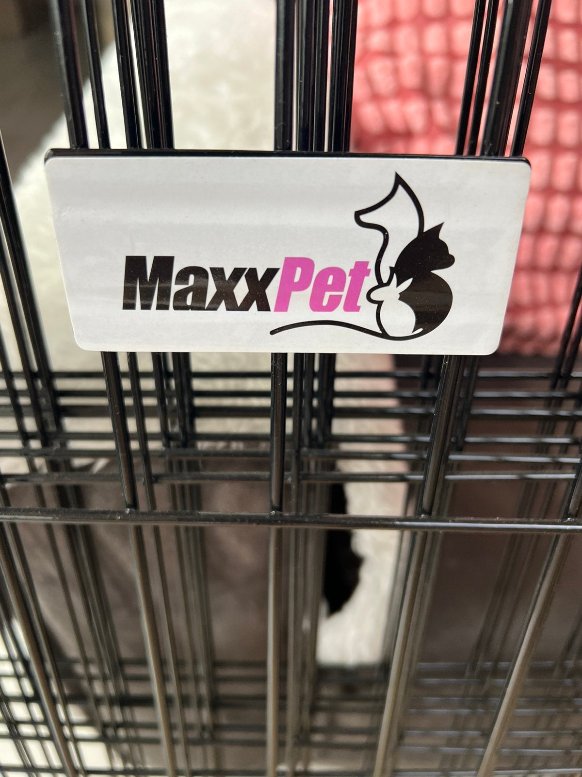 Bench voor hond, Dieren en Toebehoren, Hondenbenches, Ophalen of Verzenden, Zo goed als nieuw