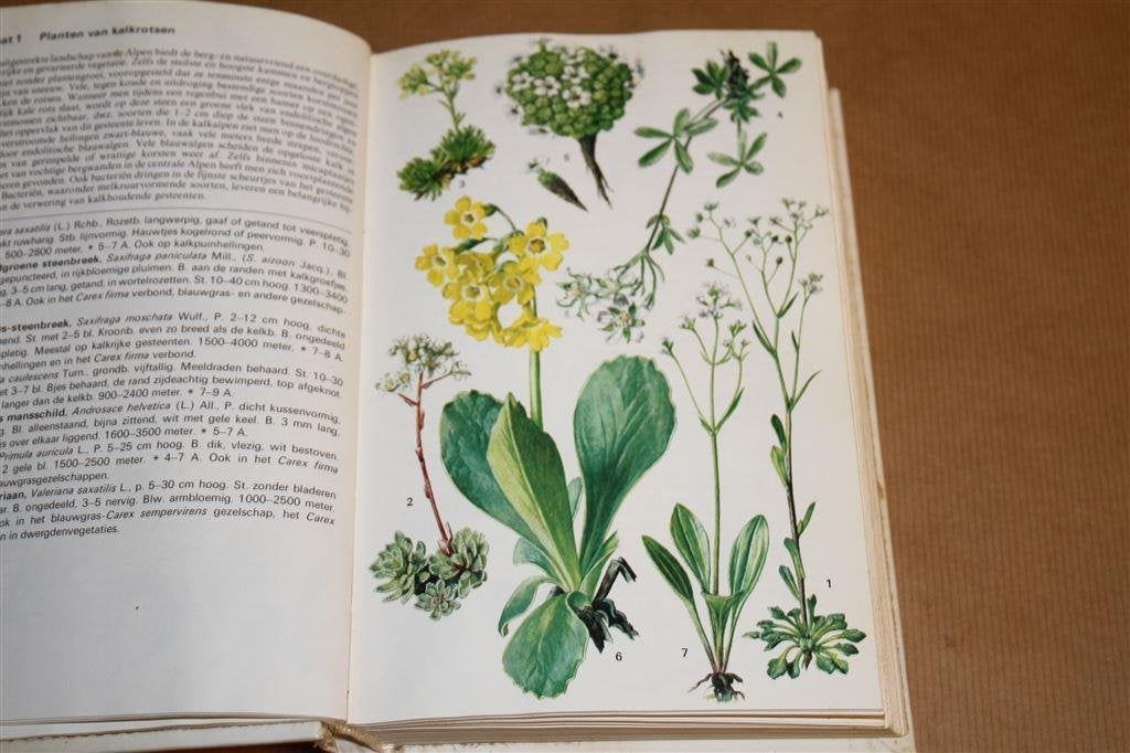 Elseviers alpengids. 700+ kleurenafbeeldingen natuur., Ophalen of Verzenden, Gelezen, Natuur algemeen