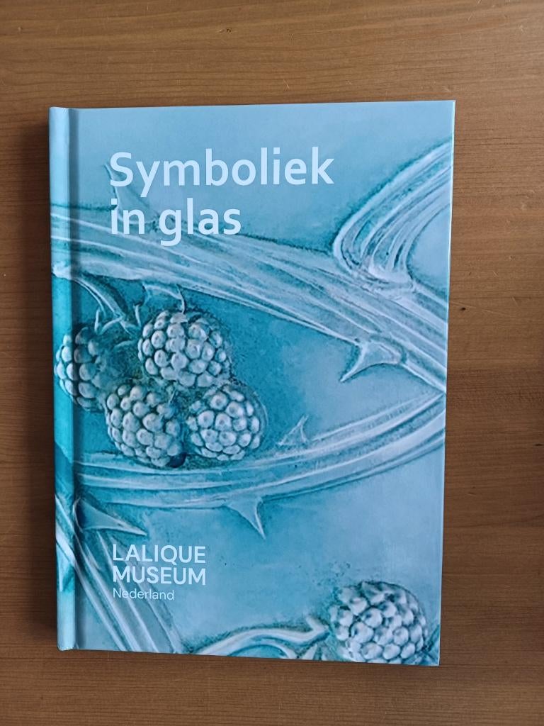 Symboliek in glas, Gelezen, Ophalen of Verzenden, Roel Wildeboer / Benjamin Janssens, Overige onderwerpen