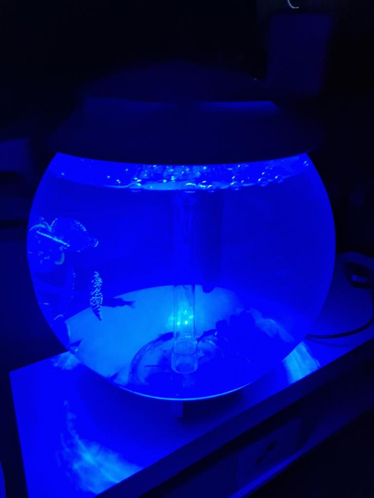 Biorb aquariums met afstandsbediening, Dieren en Toebehoren, Ophalen of Verzenden, Zo goed als nieuw, Leeg aquarium