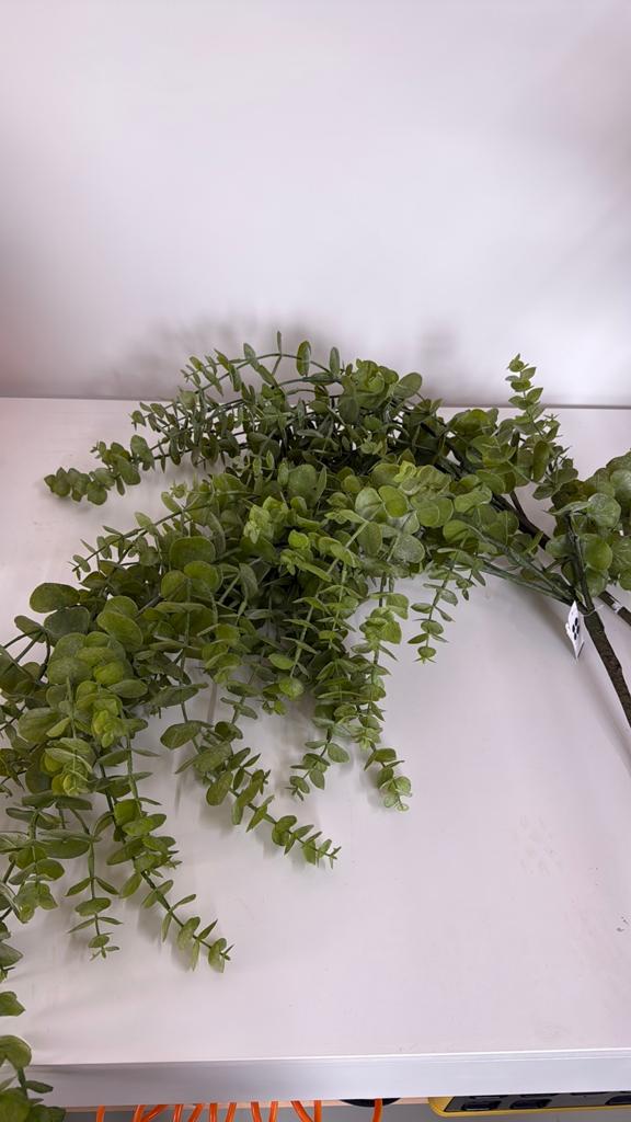 Kunst takken eucalyptus, Ophalen, Binnen, Groen, Nieuw