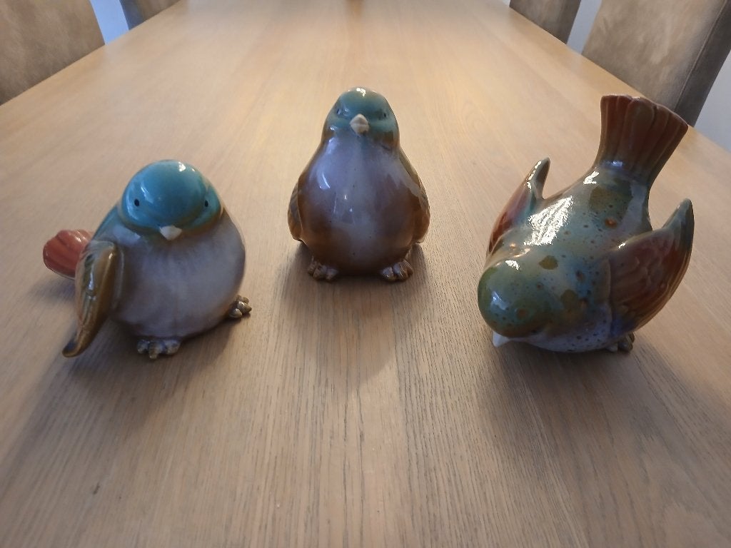 Vogels, Ophalen of Verzenden, Nieuw, Dier
