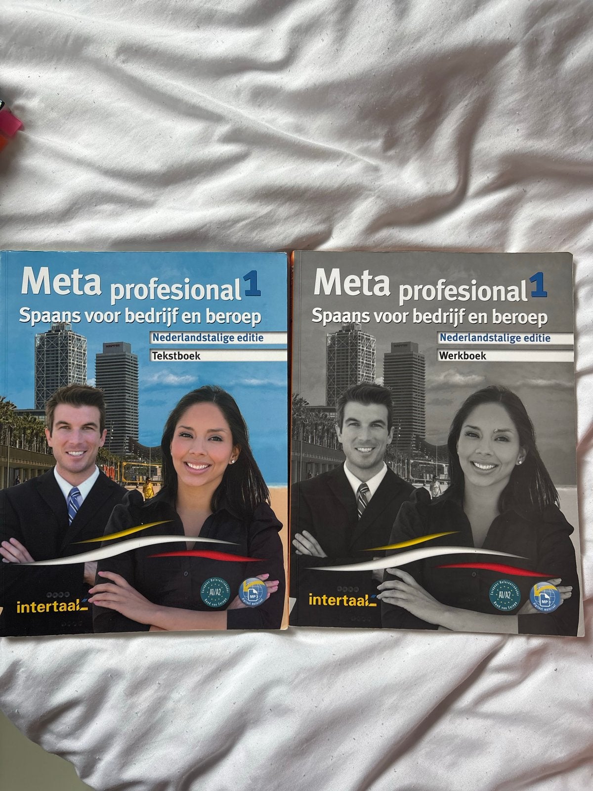 Meta Profesional 1 Spaans voor bedrijf en beroep (set), Boeken, Ophalen of Verzenden, Gamma, Zo goed als nieuw, MBO