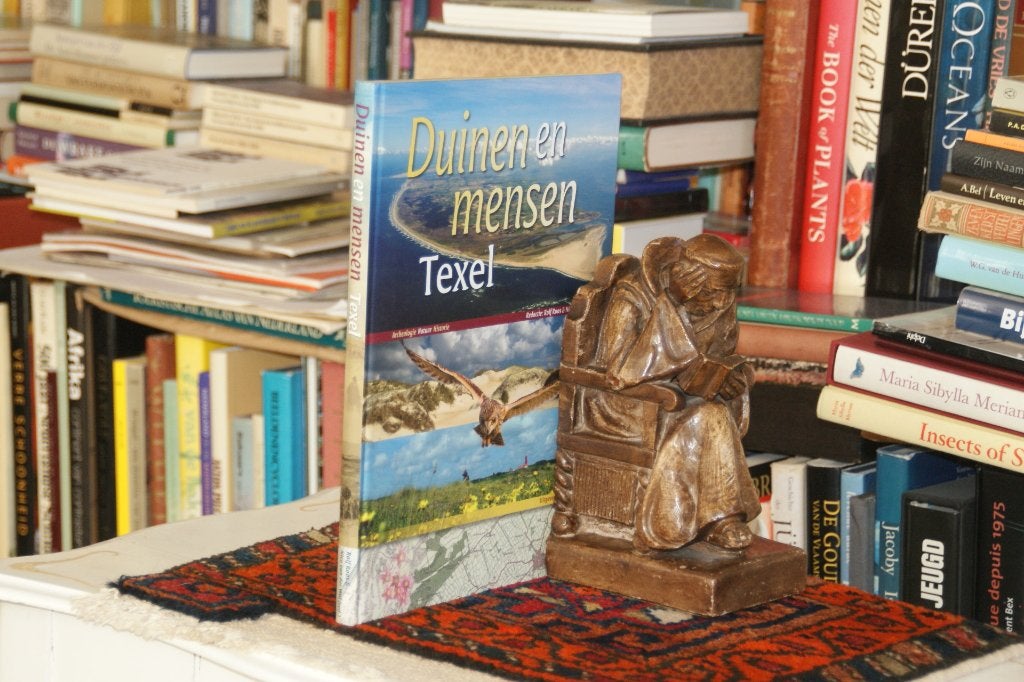 DUINEN en MENSEN  TEXEL archeologie, natuur en historie, Boeken, Ophalen of Verzenden, Nieuw