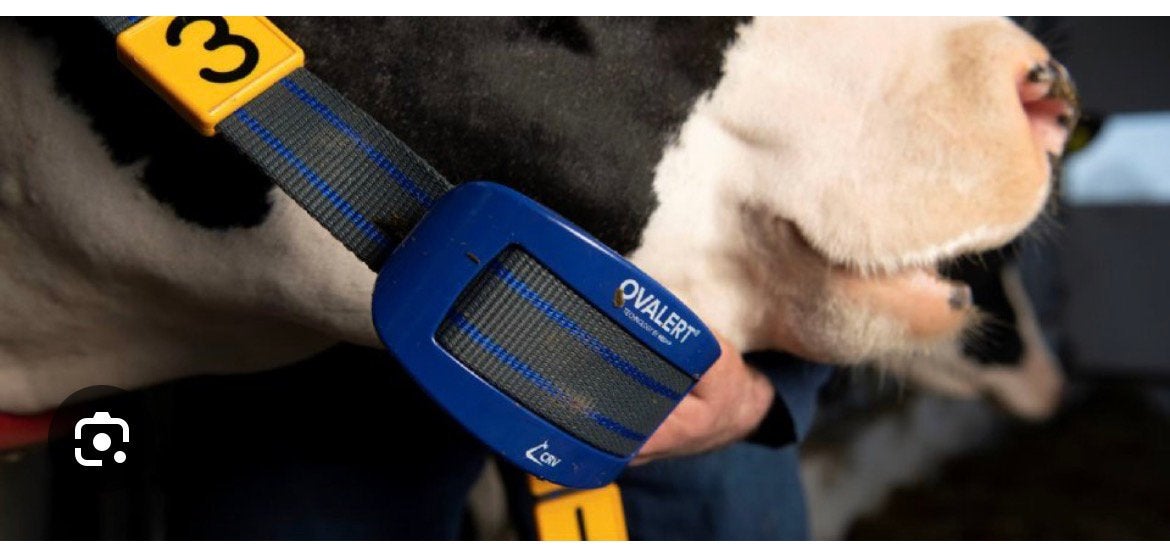 Nedap tochtdetectie, Dieren en Toebehoren, Ophalen