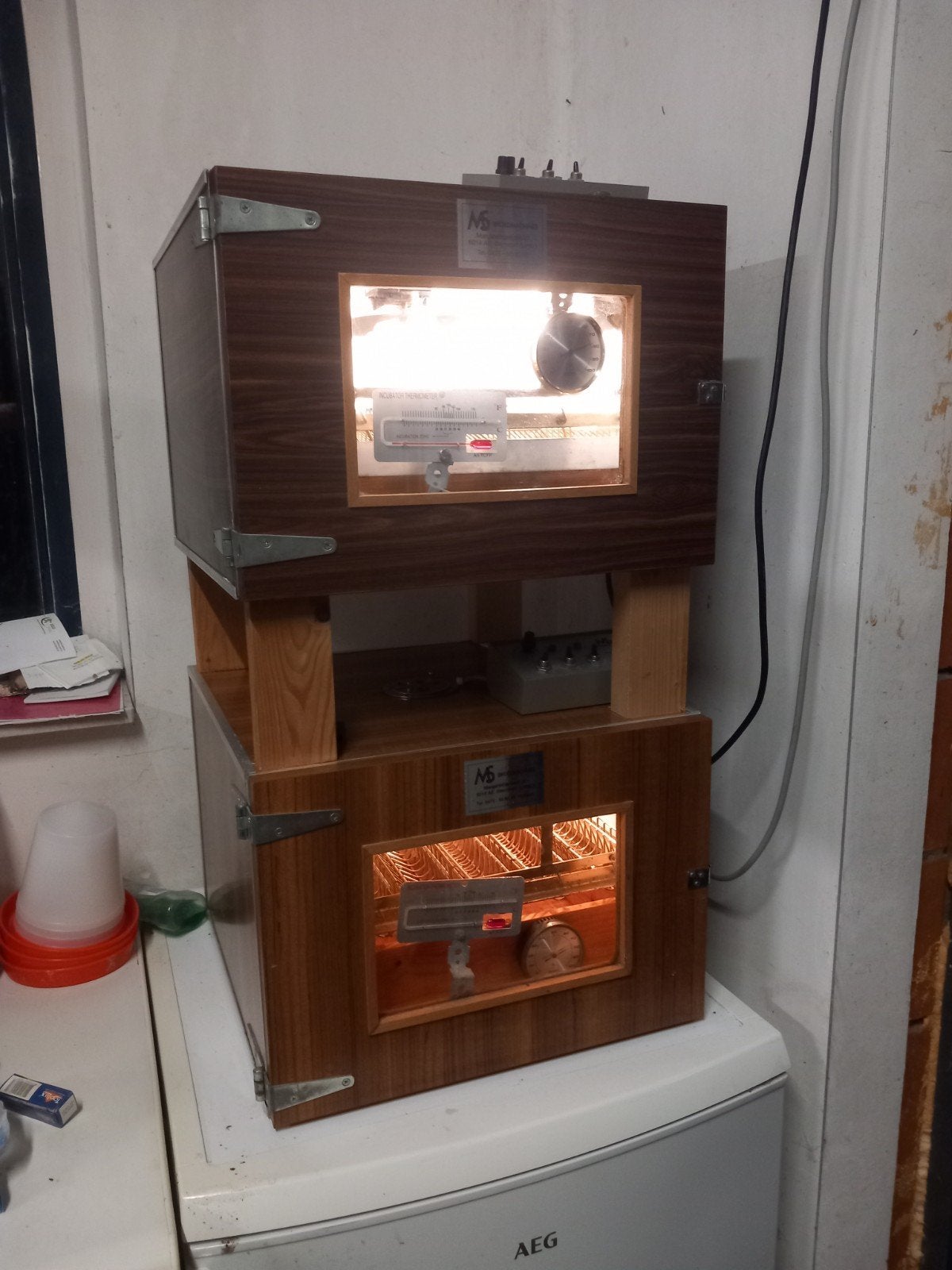 MS 50 vol automatische broedmachines, Dieren en Toebehoren, Meerdere dieren, Kip