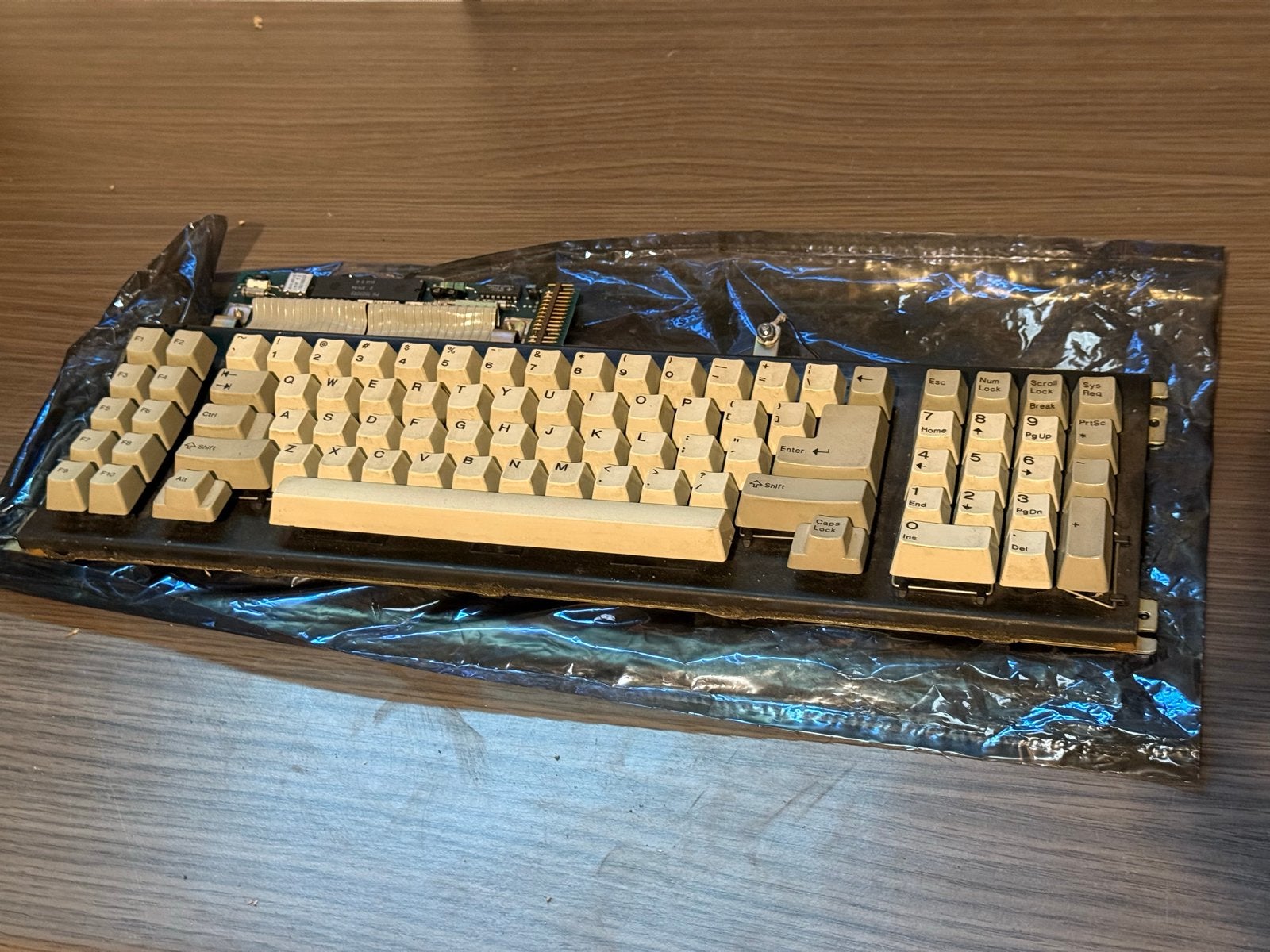 IBM Model F Toetsenbord Onderdeel, Computers en Software, Toetsenborden, Ophalen of Verzenden, Qwerty, Nieuw, Bedraad