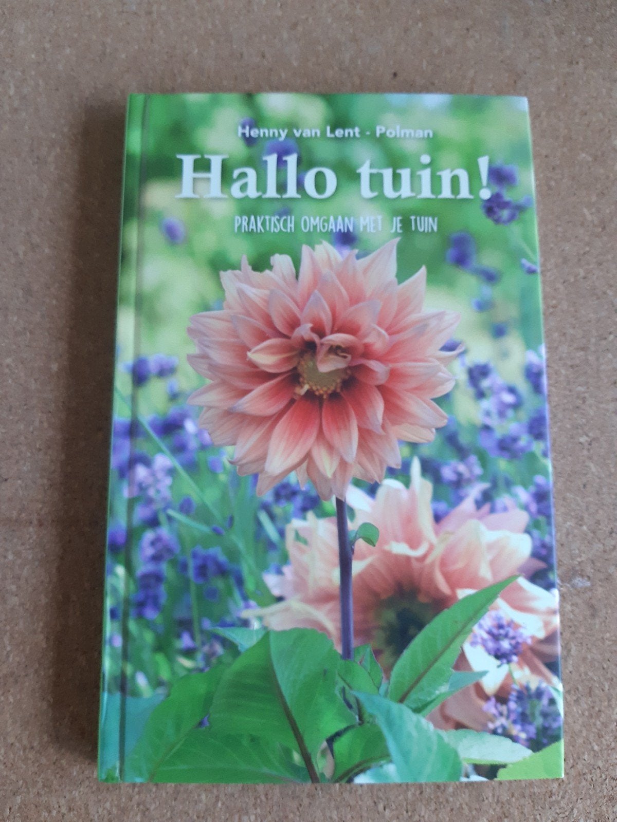 Hallo tuin! Praktisch omgaan met je tuin - Henny van Lent, Boeken, Henny van Lent - Polman, Ophalen of Verzenden, Zo goed als nieuw