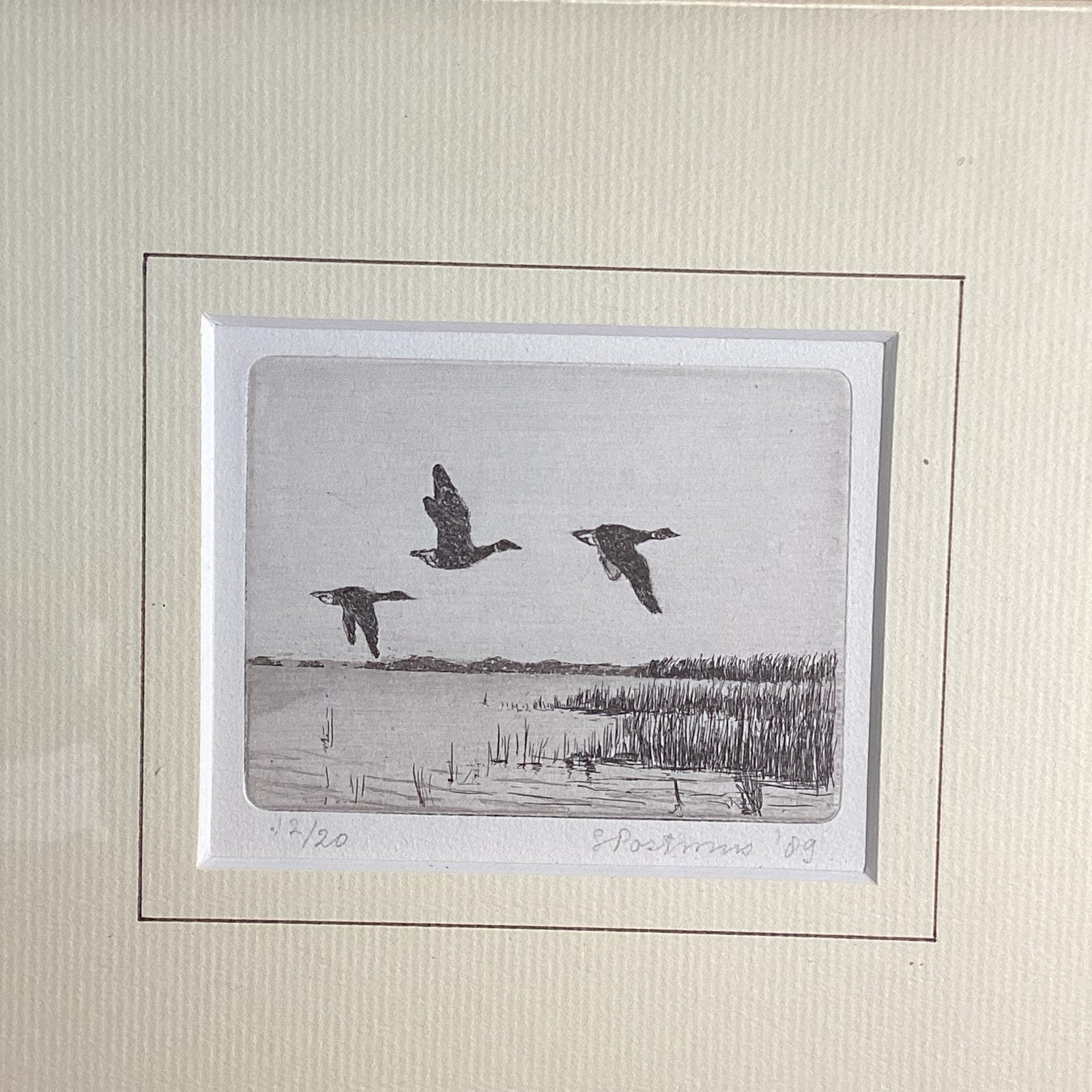 Kleine gesigneerde en genummerde ets ganzen 12/20 - 1989, Ophalen of Verzenden, Flora en Fauna, 1950 - 1999, Genummerd