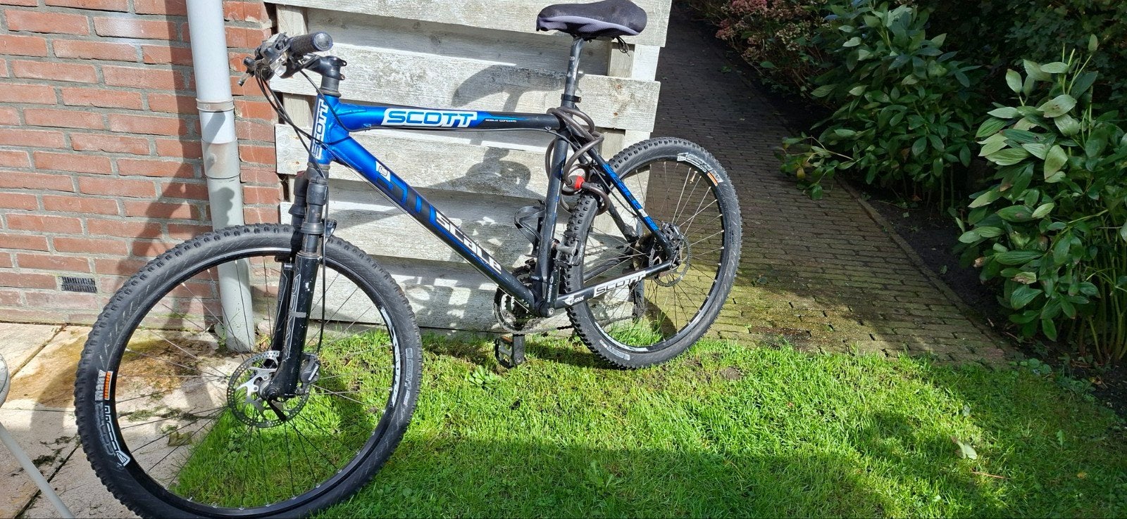 Mountain bike Scott Scale 50, Ophalen, 20 inch of meer, Gebruikt, Heren