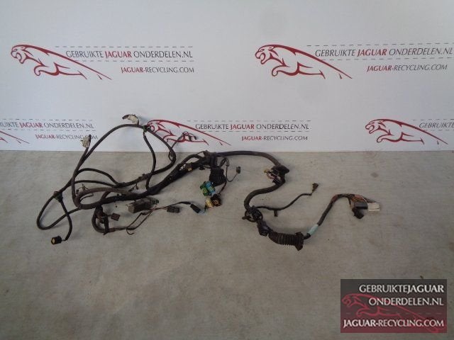 Kabelboom onder de motorkap / voorzijde auto  Jaguar XK8 199, Gebruikt, -, Ophalen of Verzenden, Jaguar