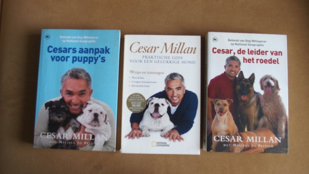 3x Cesar Millan - hondenboeken - puppy's enz, Ophalen of Verzenden, Zo goed als nieuw, Honden, Cesar Millan