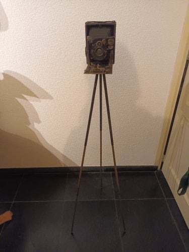 Antieke Contessa Nettel Altura 1921 Balgcamera Op Statief, Gebruikt, Compact, Ophalen of Verzenden, Nvt