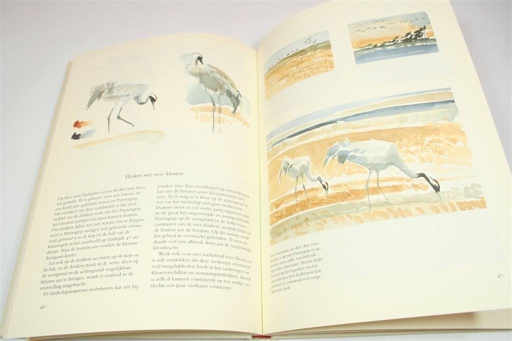 Vogels in Aquarel — Schetsen & Schilderen — Kees de Kiefte, Ophalen of Verzenden, Gelezen