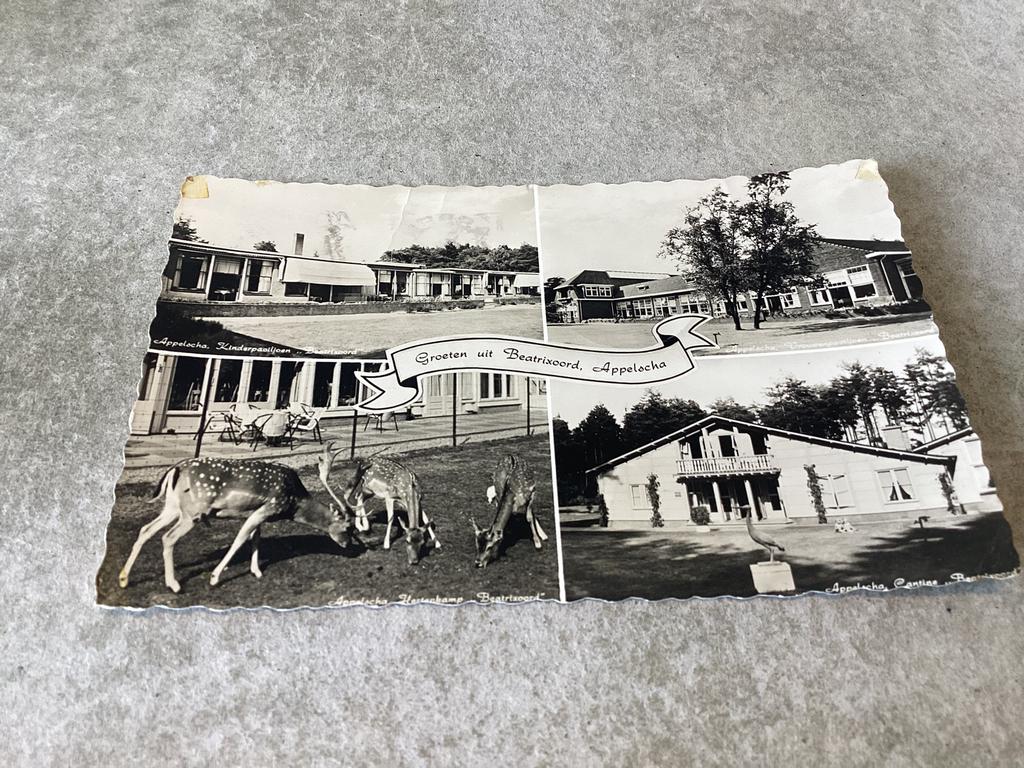 Appelscha.       Beatrixoord     1960, Verzamelen, Ophalen of Verzenden, 1940 tot 1960