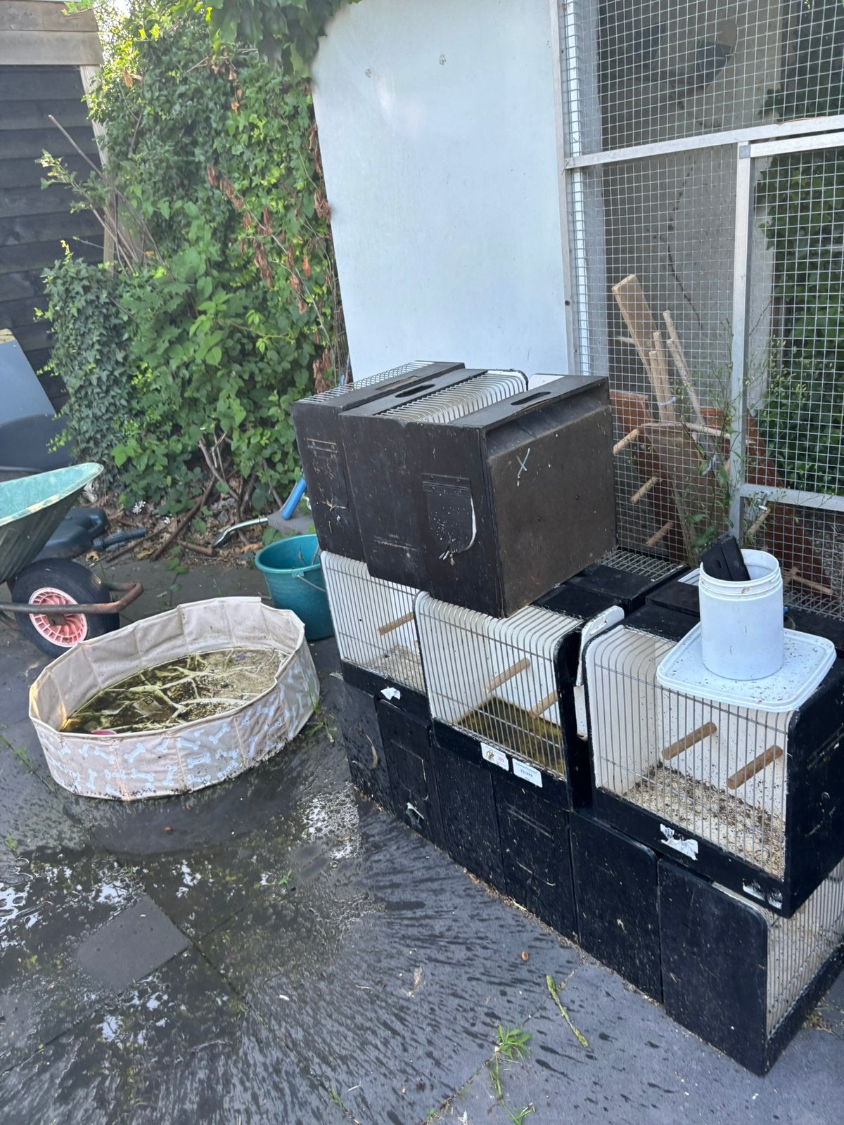 Tt kooien, Dieren en Toebehoren, Vogels | Hokken en Kooien, Ophalen, Gebruikt, Hout, Vogelkooi