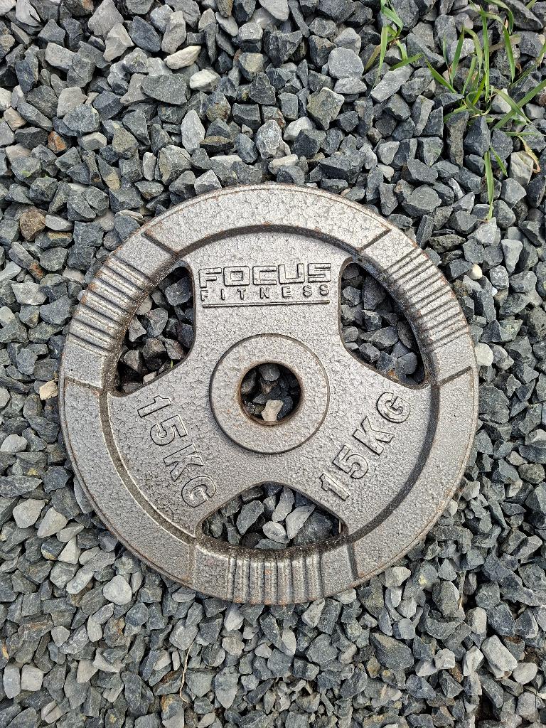 Focus Fitness halterschijven 10 & 15 kg, 50 mm boring, Sport en Fitness, Fitnessmaterialen, Ophalen, Gebruikt, Benen, Halterschijven