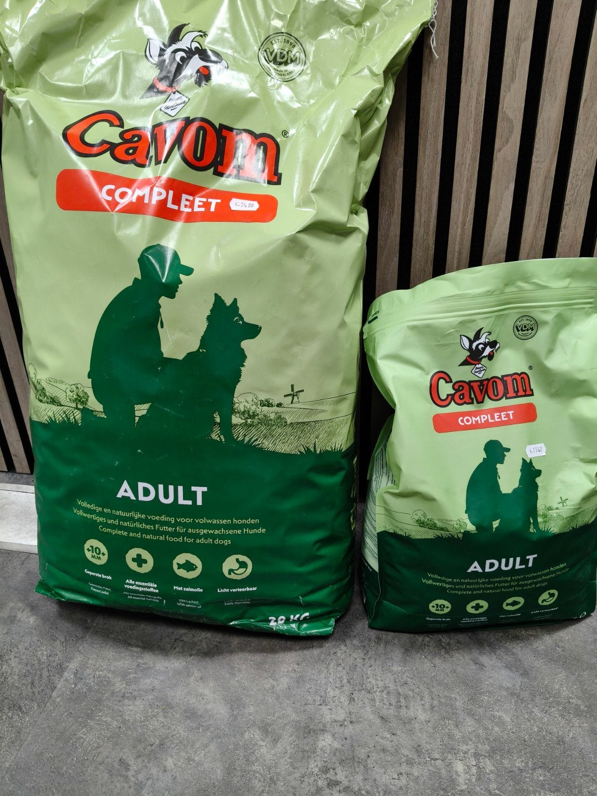 cavom en smolke adult, Dieren en Toebehoren, Ophalen of Verzenden