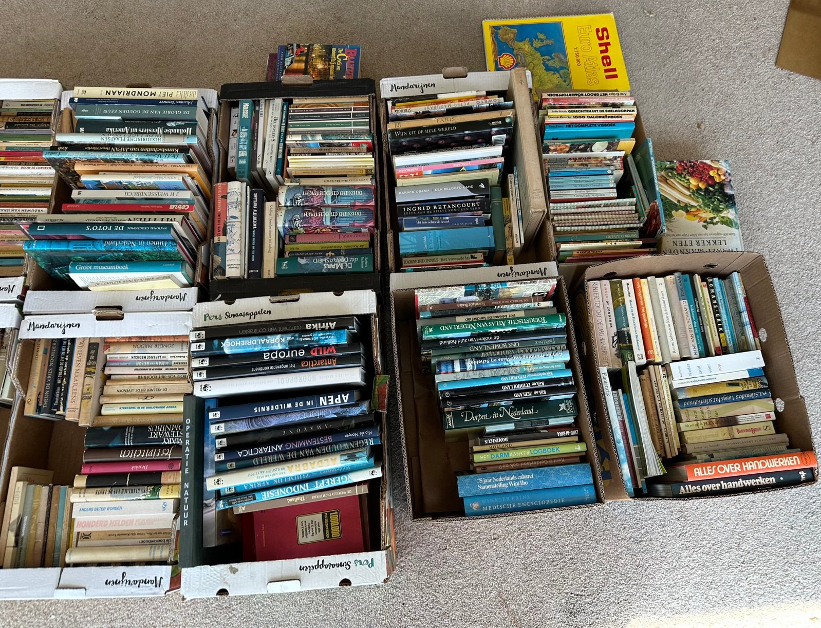 Grote partij boeken, natuurboeken, kunstboeken enz., Boeken, Partijen en Verzamelingen, Ophalen, Gelezen, Verschillende onderwerpen