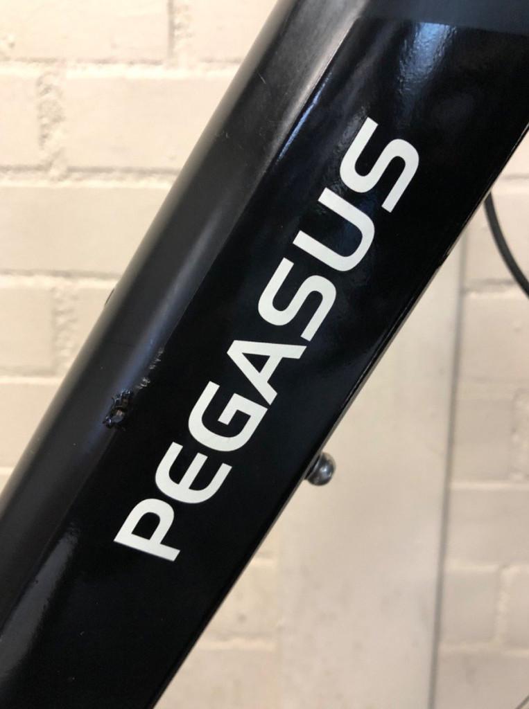 Pegasus SIENA E8F Belt Performance Dames Blue 55cm 2025, Overige merken, Gebruikt, -, - 0
-, NL