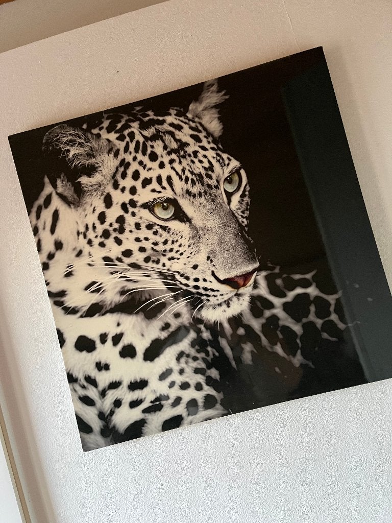 tijger canvas leuk voor woonkamer of kinderkamer, Ophalen, Minder dan 50 cm, Zo goed als nieuw, Schilderij